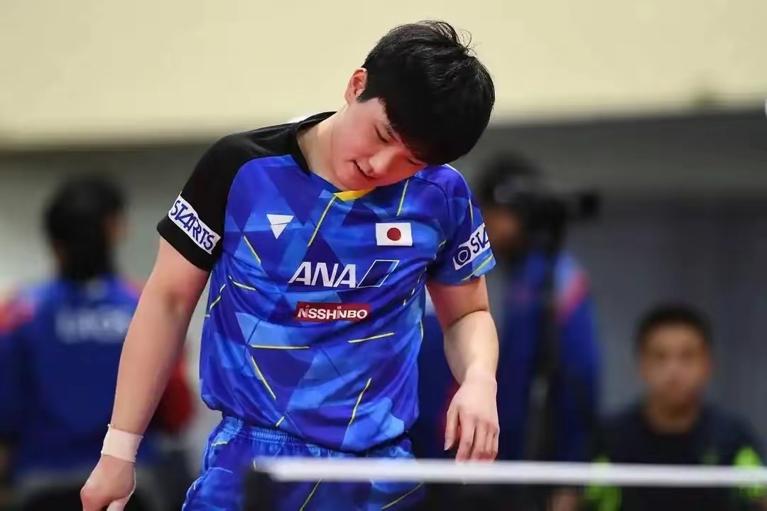 波兰队鏖战葡萄牙队，张本智和带队取胜