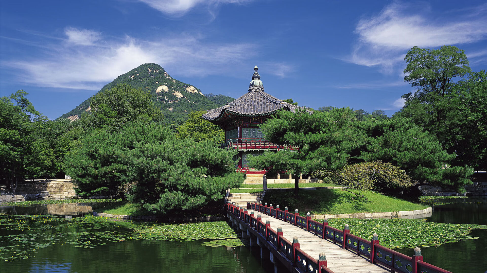 德意志之翼力斩东瀛武士,黄鸭风暴席卷全场