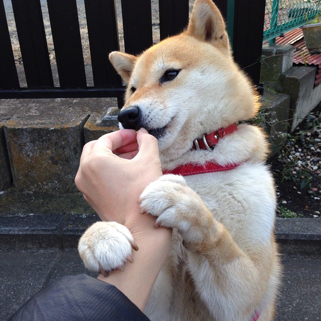 奇迹的裂缝,纳达尔在拉沃尔杯深夜赛场,打出了一记蒙特卡洛式的绝杀