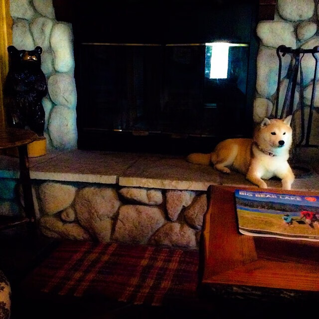 文班亚马首砍三双引爆全场，浙江队1.2秒极限绝杀开拓者