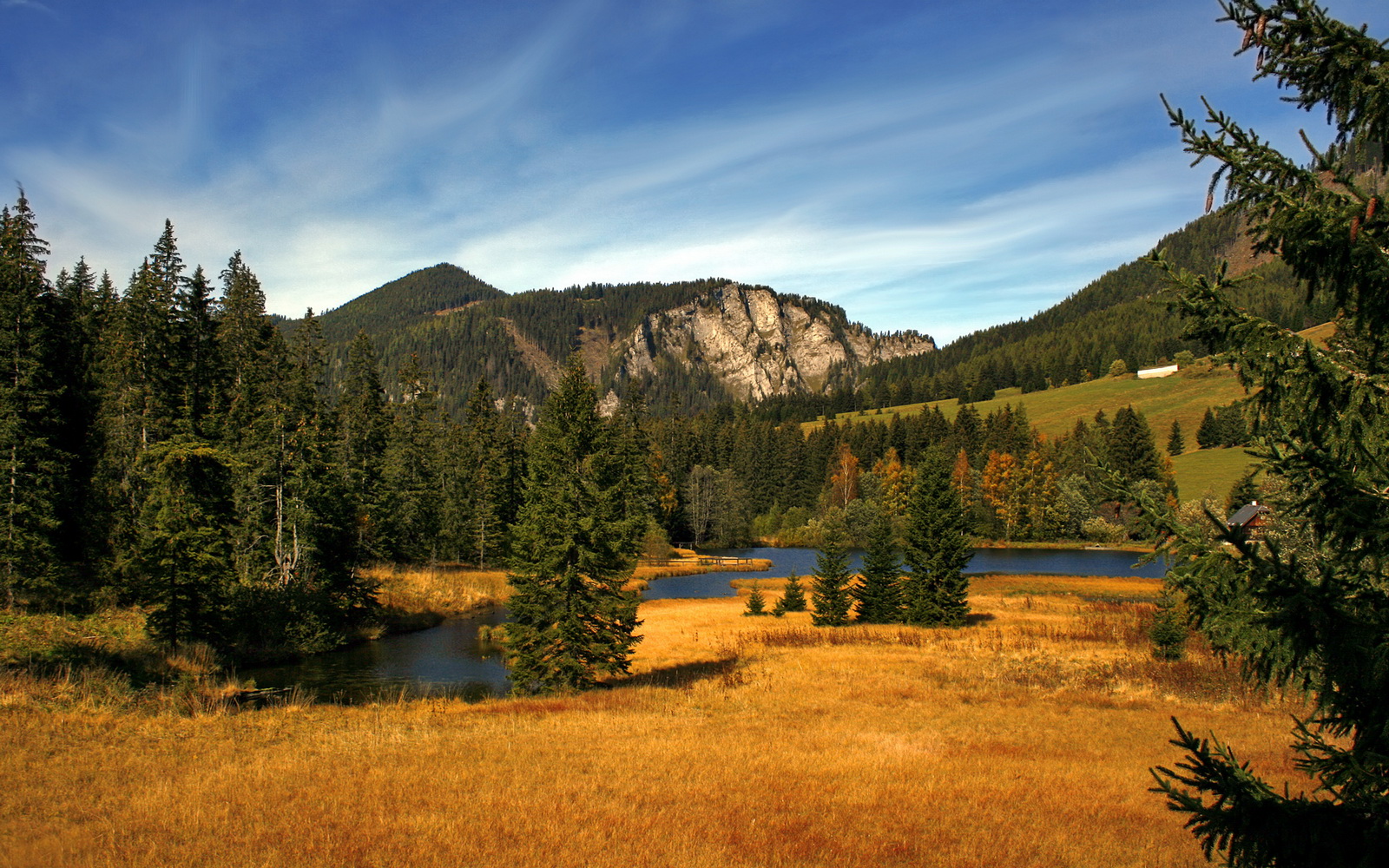 富安健洋与凯恩，时空错位的英雄叙事—拜仁淘汰国米的当代启示与奥运序曲
