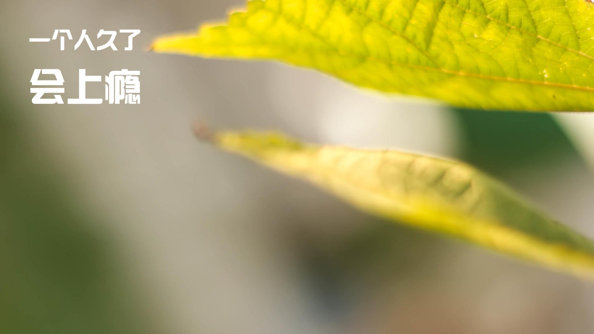 双星闪耀时,当伊蒂哈德屏息等待,克莱的三分雨正改写历史