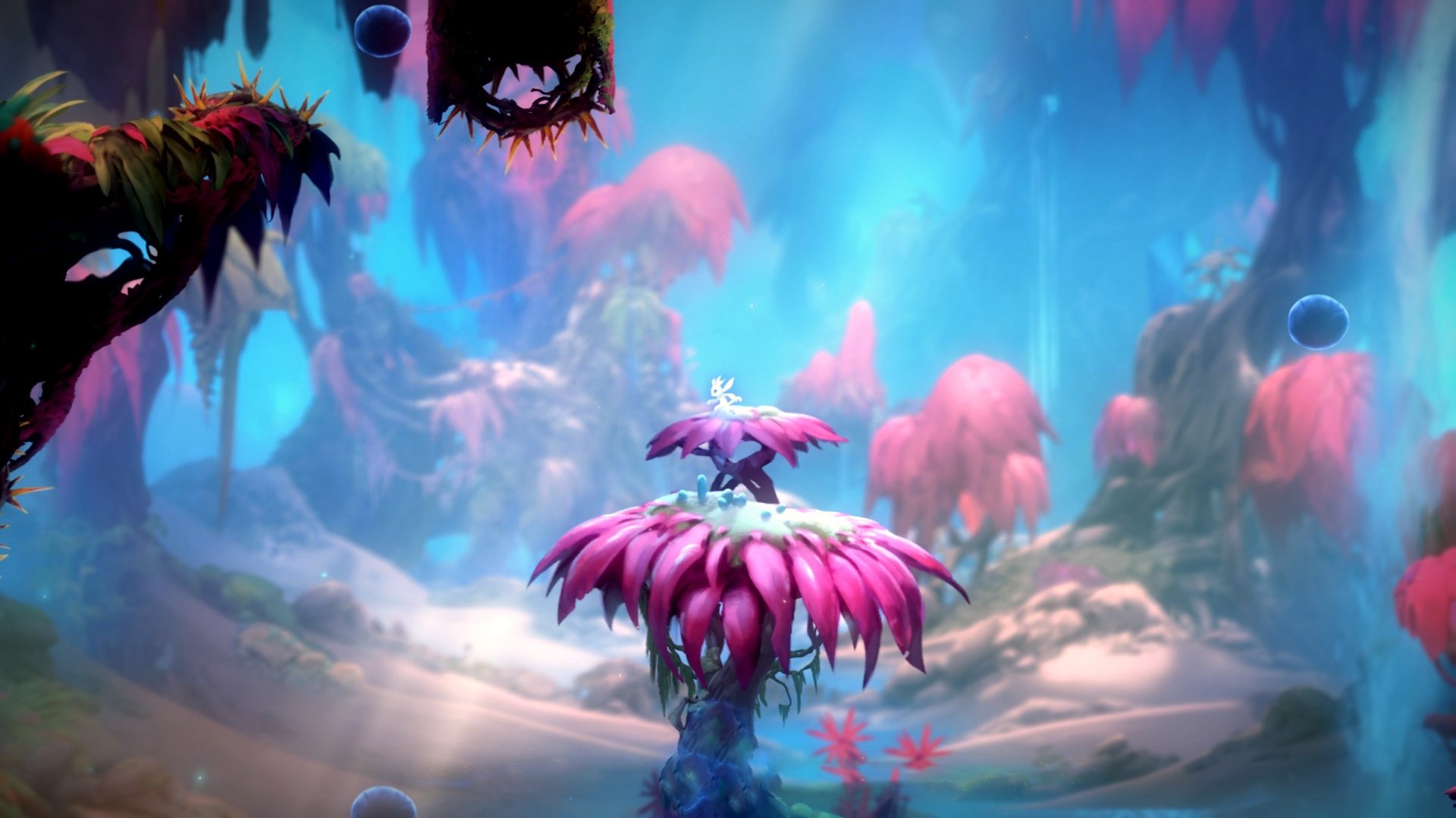 双星闪耀，巴萨单节定乾坤，赖斯F1揭幕战称王