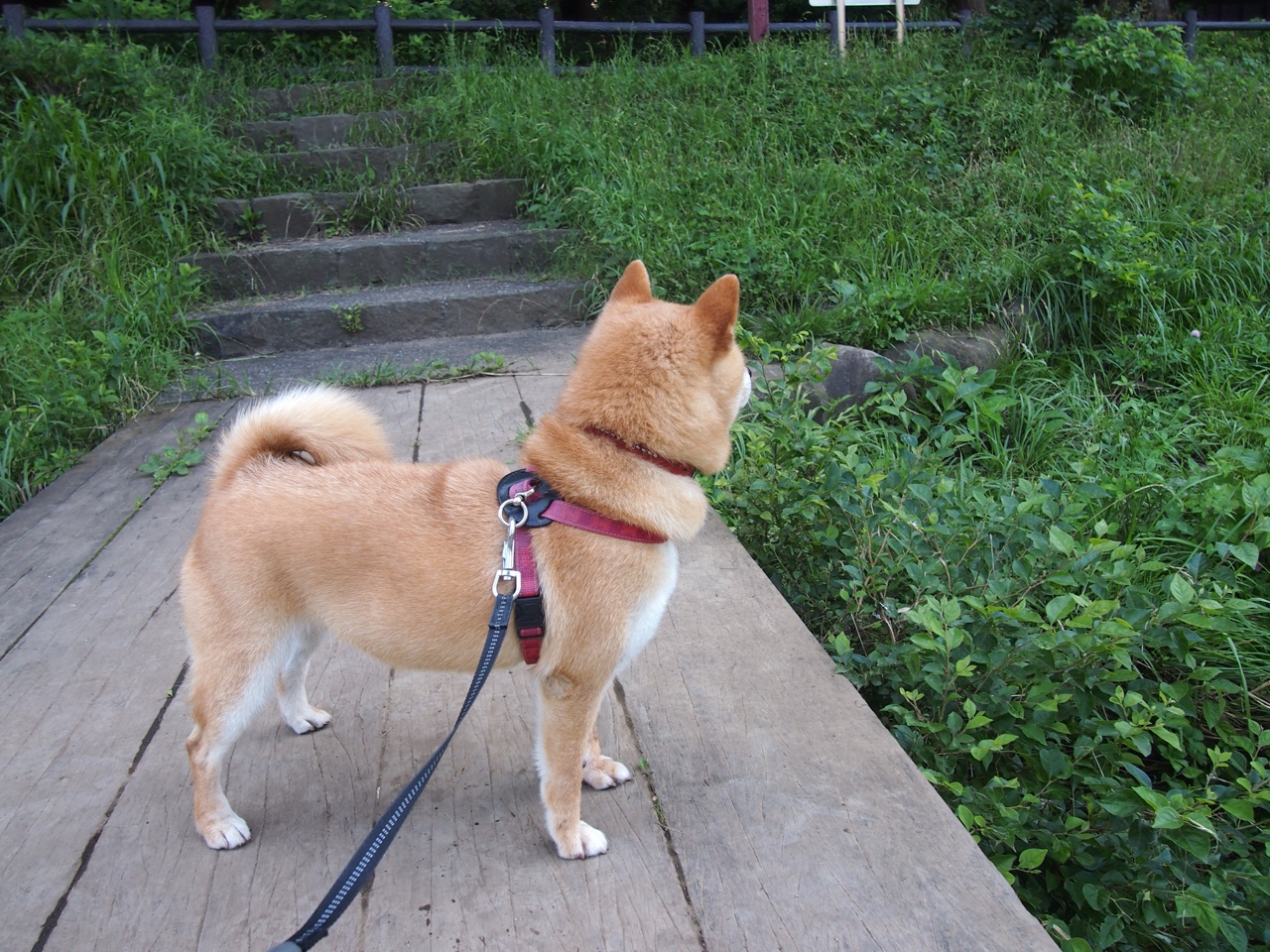 黄喜灿的独角戏，苏格兰节奏如何让乌拉圭陷入沉默之舞