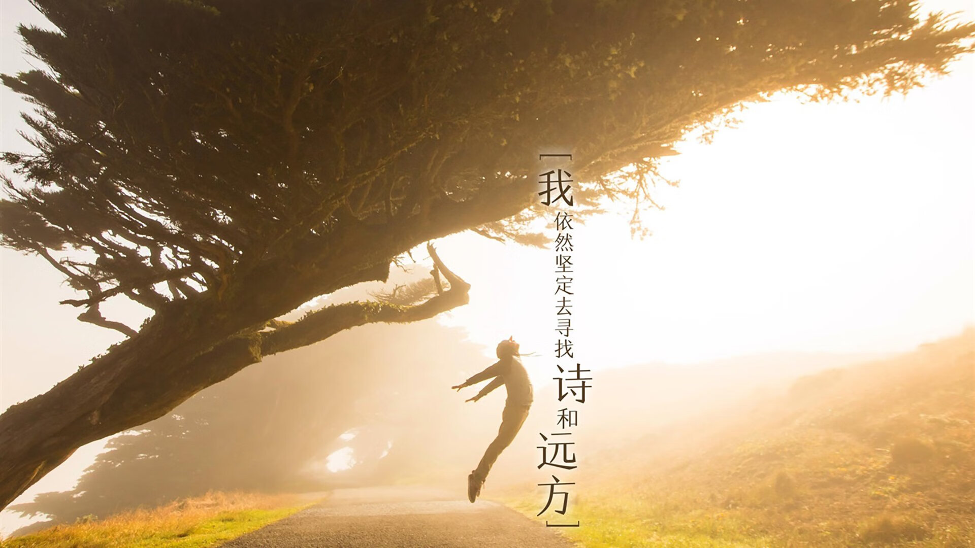 终结的艺术，从德甲争冠焦点到马刺的战术启示