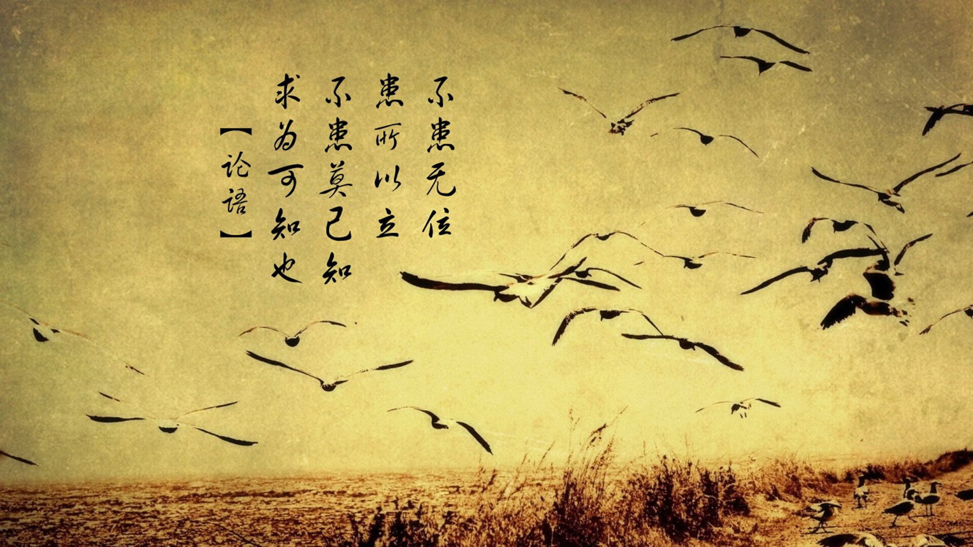 独行侠的利刃，国家的希望，杰伦·格林奥运周期关键战，打穿老鹰宣战世界