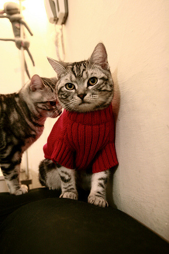 扩展思维后的文章标题