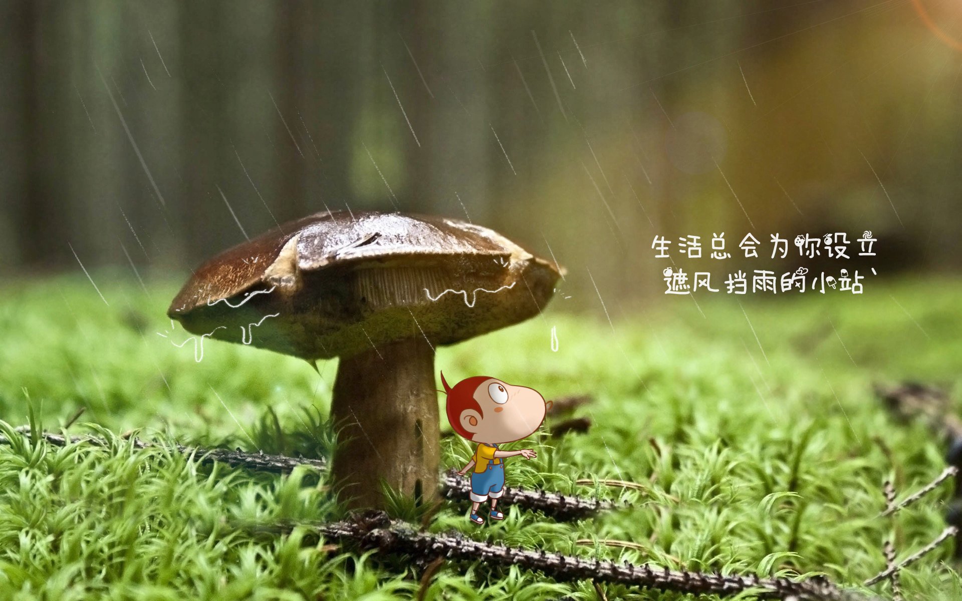 血色黎明下的唯一答案，当加纳的坚韧碾过波兰的孤傲，佩德里用足球写下宿命诗篇