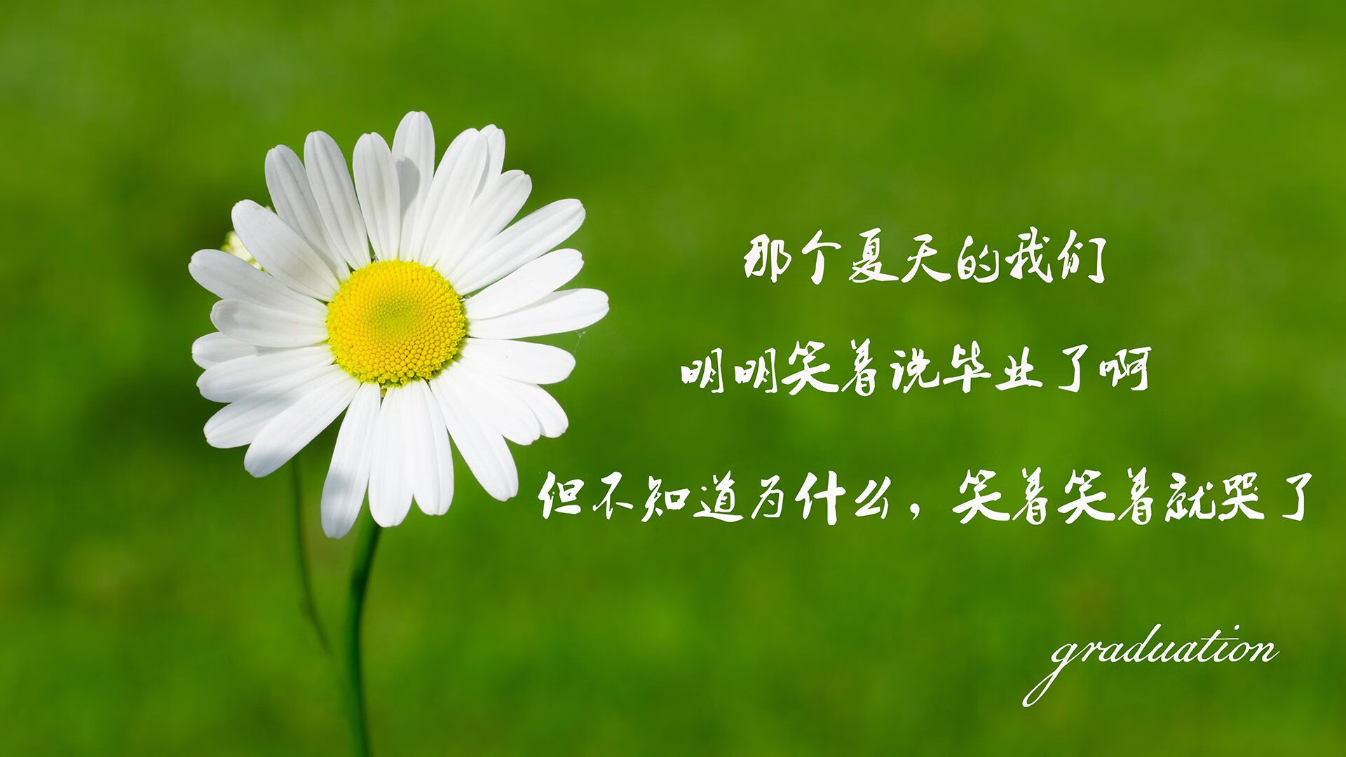 1.史诗级冷门！塔雷米致命一击，英格兰完胜卫冕冠军法国，加冕新王